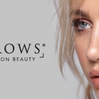 Hd Brows